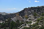 photo thumbnail #14