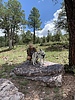 photo thumbnail #2