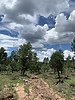 photo thumbnail #7