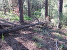 photo thumbnail #2