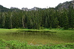 photo thumbnail #11