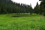photo thumbnail #12