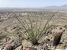 photo thumbnail #1