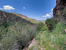 photo thumbnail #14