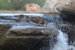 photo thumbnail #12