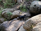photo thumbnail #1