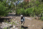 photo thumbnail #10