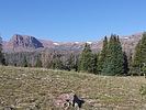 photo thumbnail #5