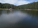 photo thumbnail #3