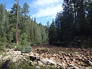 photo thumbnail #3