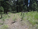 photo thumbnail #10