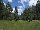 photo thumbnail #11