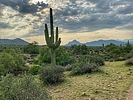photo thumbnail #5