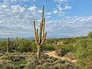 photo thumbnail #9