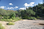 photo thumbnail #11