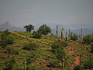 photo thumbnail #14