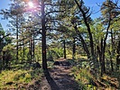 photo thumbnail #4