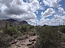 photo thumbnail #15