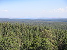 photo thumbnail #11