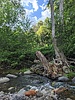 photo thumbnail #11