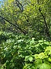 photo thumbnail #15