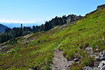photo thumbnail #8
