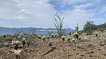photo thumbnail #6