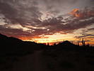photo thumbnail #1