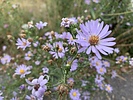 photo thumbnail #12