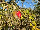 photo thumbnail #8