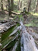 photo thumbnail #4