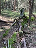 photo thumbnail #5