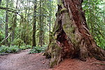 photo thumbnail #10