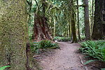photo thumbnail #14