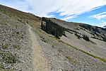 photo thumbnail #15