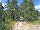 photo thumbnail #6