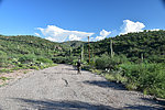 photo thumbnail #1