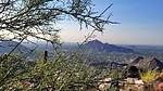 photo thumbnail #5