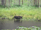 photo thumbnail #2