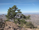 photo thumbnail #4