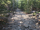 photo thumbnail #9