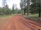 photo thumbnail #12