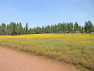 photo thumbnail #7