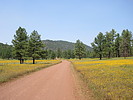 photo thumbnail #8