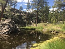photo thumbnail #5