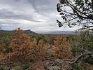 photo thumbnail #7