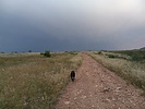 photo thumbnail #2
