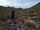 photo thumbnail #3