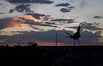 photo thumbnail #3