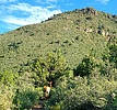 photo thumbnail #2